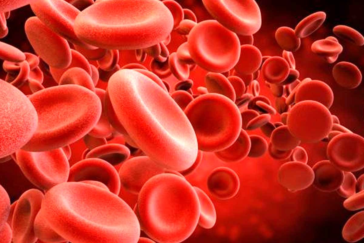 توصیه‌های طب سنتی برای کاهش غلظت خون؛ خوردن این غذاها ممنوع!