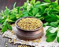 خواص دارویی عجیب از شنبلیله که نمی‌دانید