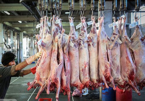 قیمت گوشت قرمز امروز 21 تیر 1404/ گوشت چرخ‌کرده چند؟ 