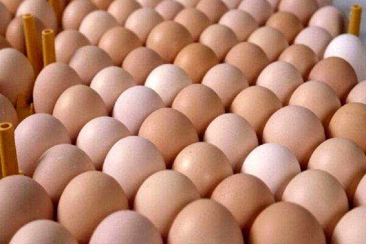 تاثیر شگفت‌انگیز این صبحانه خوشمزه بر کاهش آلزایمر