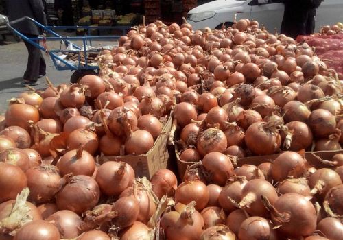 شش خاصیت شگفت‌انگیز پیاز؛ از درمان باروری تا رفع سرماخوردگی