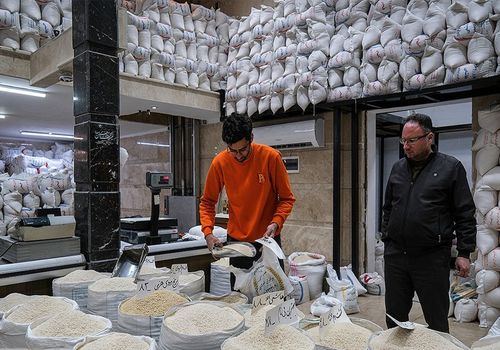 جنجال در بازار؛ برنج پاکستانی در کیسه برنج ایرانی!