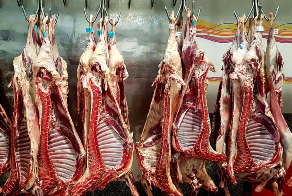 تغییر بزرگ در واردات گوشت؛ حذف گوشت ارزان تایید شد!