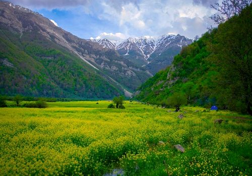 اقامت شبانه در دریاسر ممنوع شد